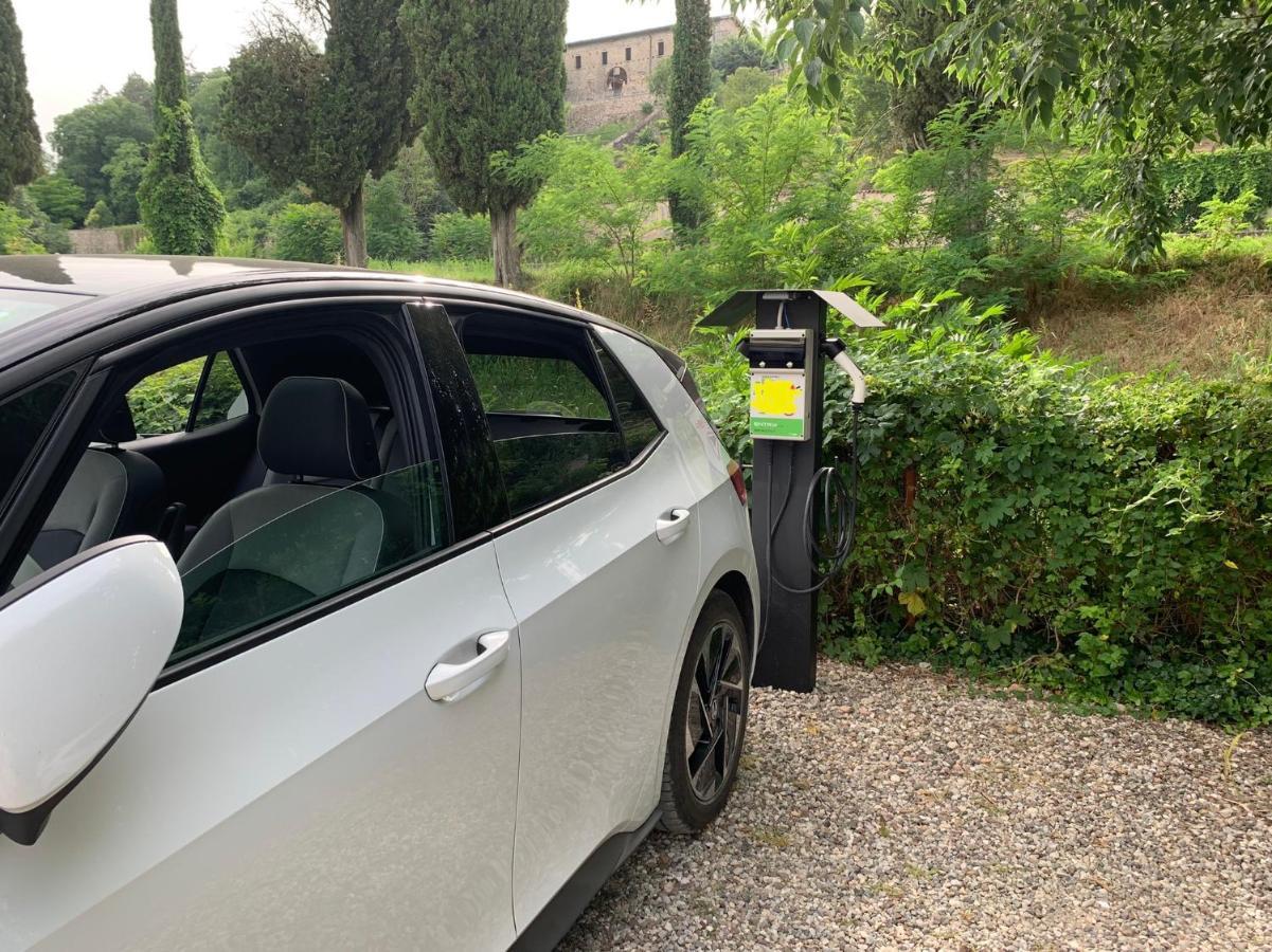 L'Isolo B&B E Case Vacanza Monzambano Luaran gambar