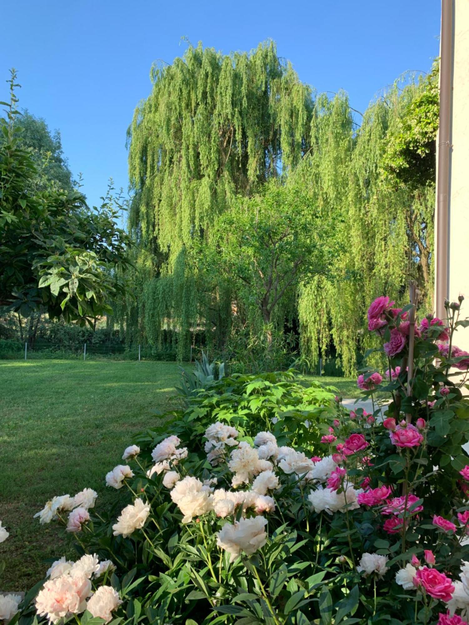 L'Isolo B&B E Case Vacanza Monzambano Luaran gambar